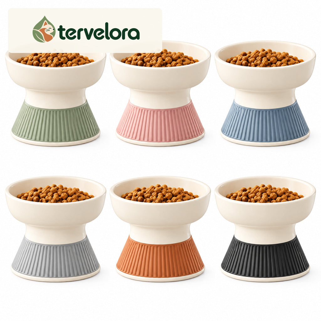 tervelora™ Elevated Cat Food Bowl – image 4