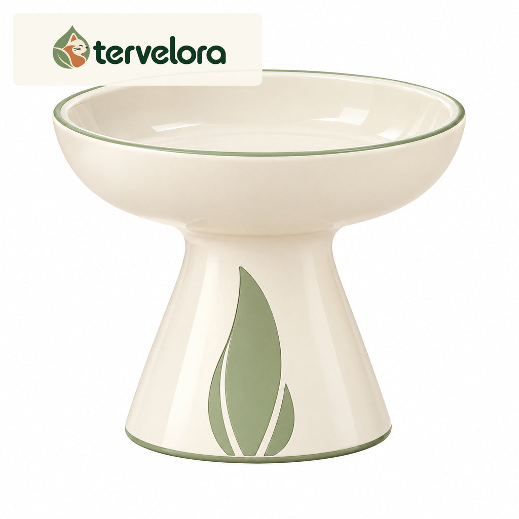 tervelora™ Elevated Cat Water Bowl – image 3