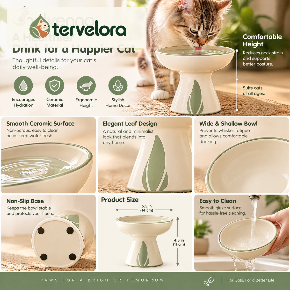 tervelora™ Elevated Cat Water Bowl – image 4
