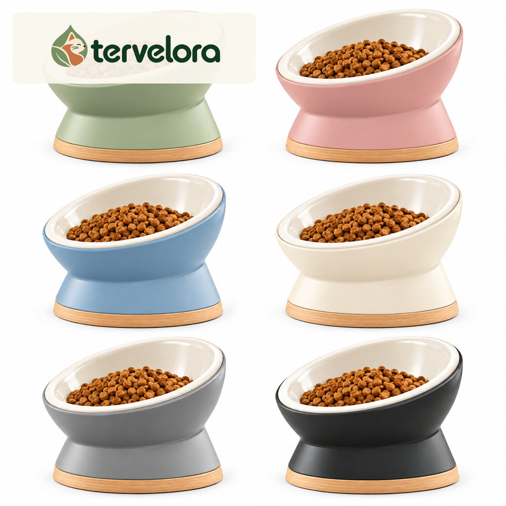 tervelora™ Tilted Cat Food Bowl – image 4