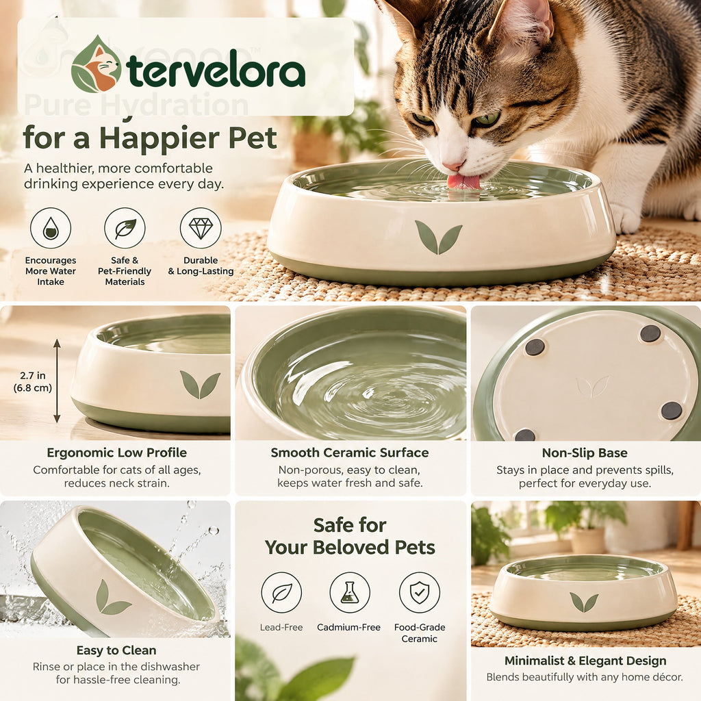 tervelora™ Wide Shallow Cat Water Bowl – image 2